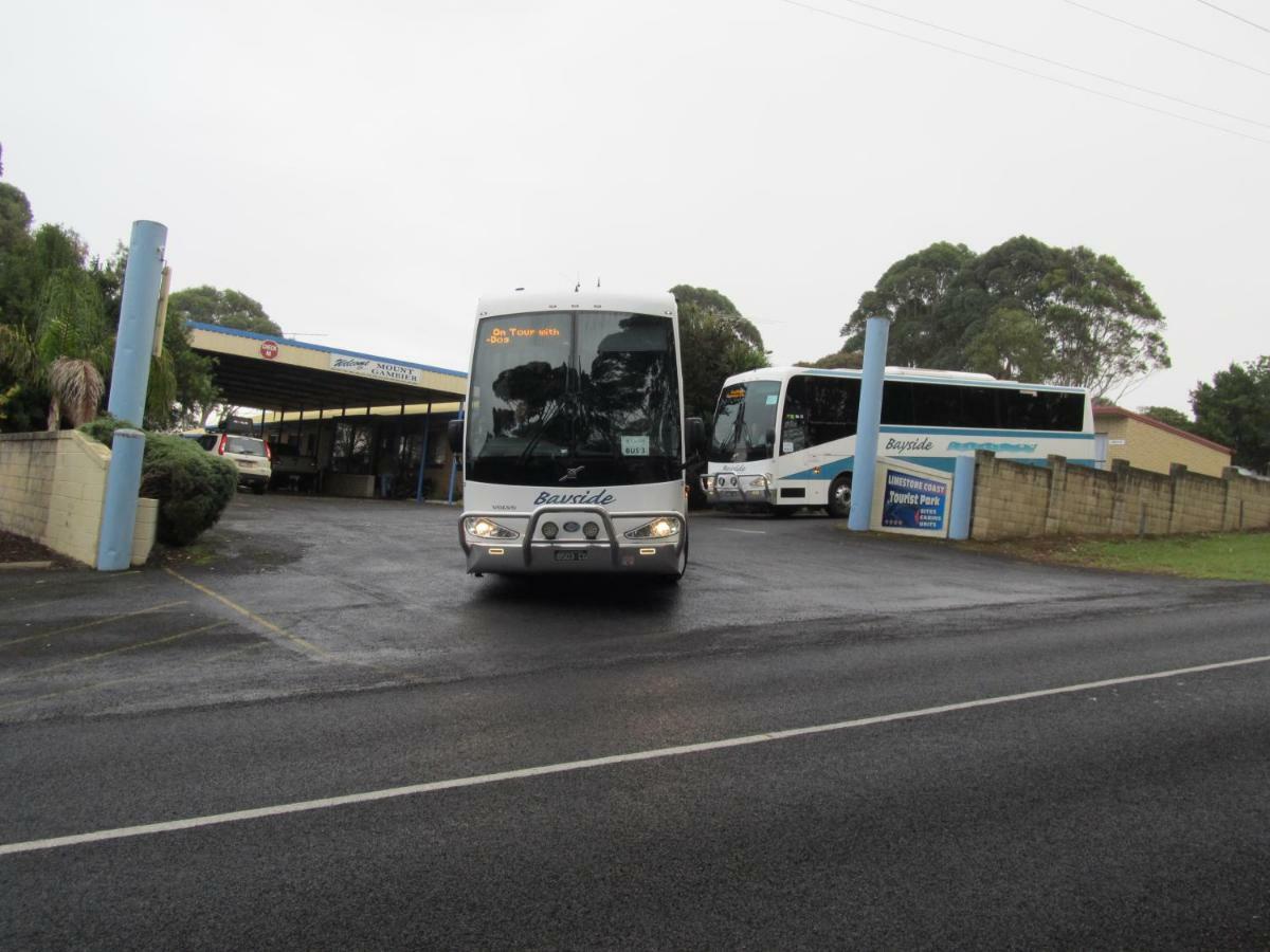 Limestone Coast Tourist Park 干比尔山 外观 照片