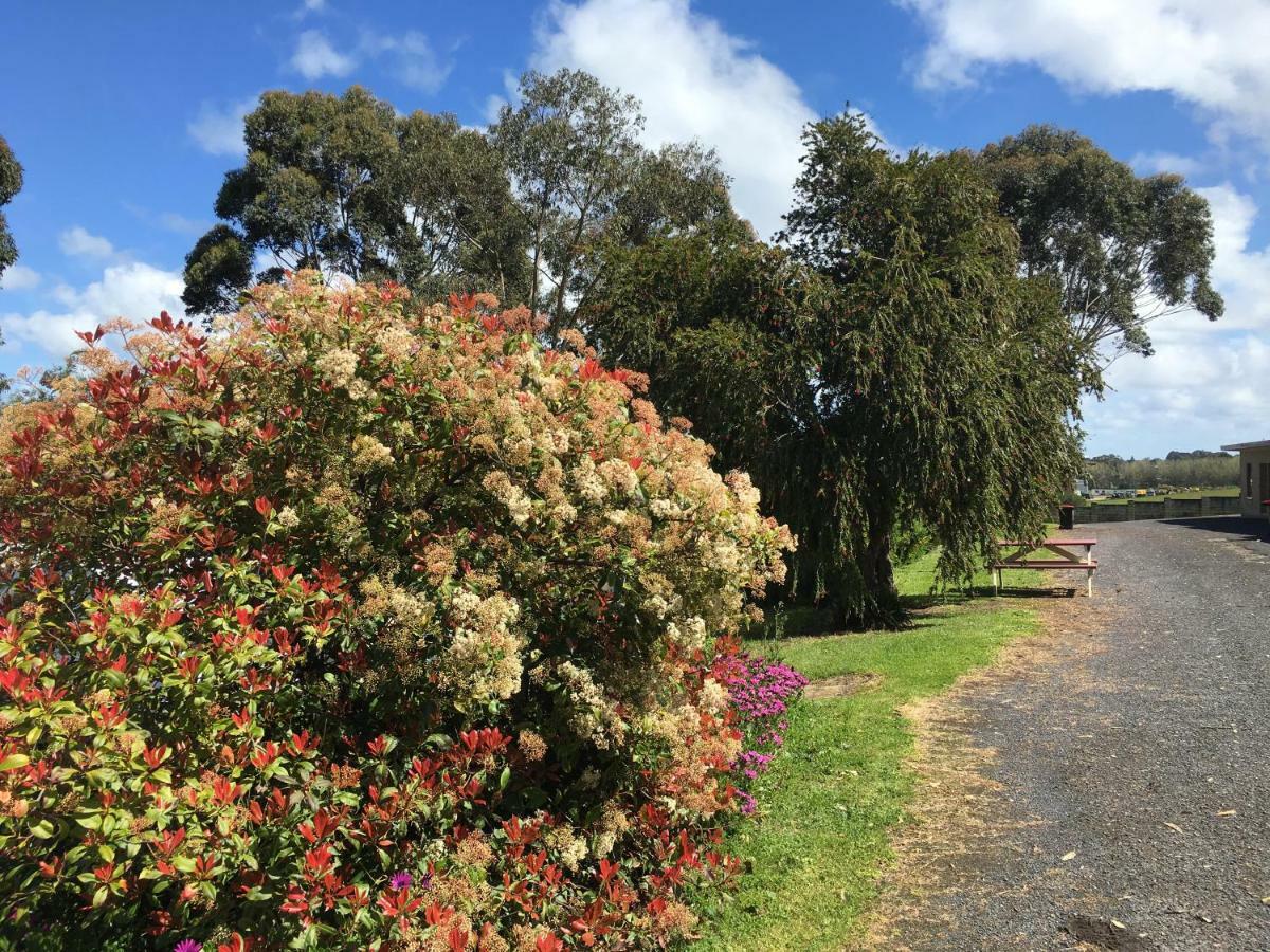 Limestone Coast Tourist Park 干比尔山 外观 照片